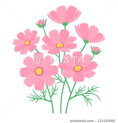 Cosmos flowers Cosmos flowers 123195660