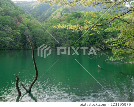 [Aomori] Keitoba Pond 123195979