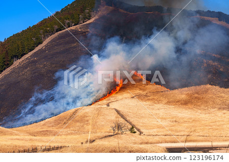 2025年2月15日，焚山日的曾尼高原。 123196174