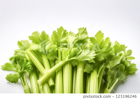 芹菜圖片素材 123196246