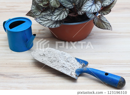 Fertilisation with using wooden ash full of calcium and potassium. 123196310