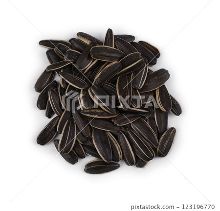 Seed of Sunflower isolated on white background 123196770