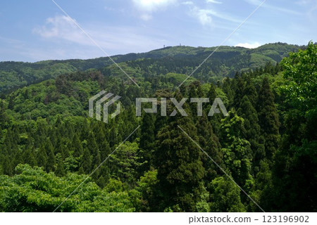 寶達山的新綠 寶達山的新綠 123196902