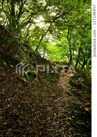 禦坂山的鍵掛：夏日的朝陽照耀著山路 123196957