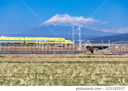 [Shizuoka] Doctor Yellow running near Mount Fuji 123197037