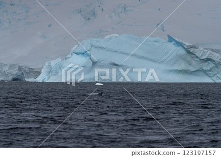 Snow and ice in Antarctica Snow and ice in Antarctica 123197157