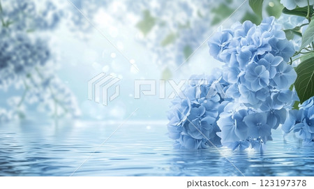 水面和淡藍色繡球花的圖像、背景圖像 123197378