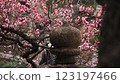 Stone statues in the plum grove at Ume no Hana no Miyako Park 123197466