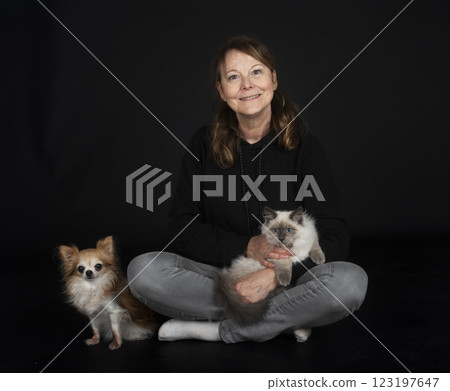 siberian cat, chihuahua and woman in studio 123197647