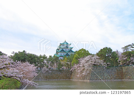愛知縣名古屋市櫻花盛開和名古屋城的景色 愛知縣名古屋市櫻花盛開和名古屋城的景色 123197865