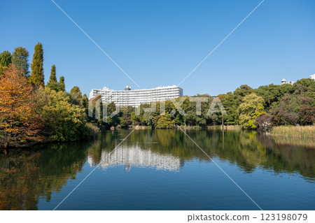 Scenery of Inokashira Park in Kichijoji Scenery of Inokashira Park in Kichijoji 123198079