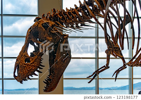 Dinosaur Museum_Nagasaki Dinosaur Museum_Nagasaki 123198177
