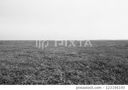 地平線上的風景 - Sarobetsu平原 - 黑白膠片影像 123198193