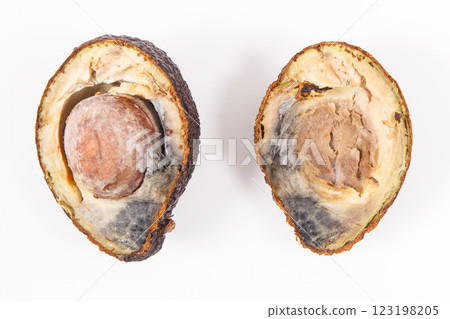 Old moldy avocado. Unhealthy and disgusting fruit 123198205