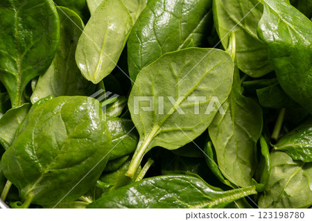 Fresh spinach green leaves close up. Healthy food. Salad leaves 123198780