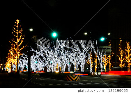 公園前街道兩旁的樹木被 LED 燈點亮 公園前街道兩旁的樹木被 LED 燈點亮 123199065