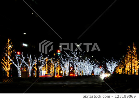 Illumination of the trees along Keyaki Street in Wakayama City 123199069