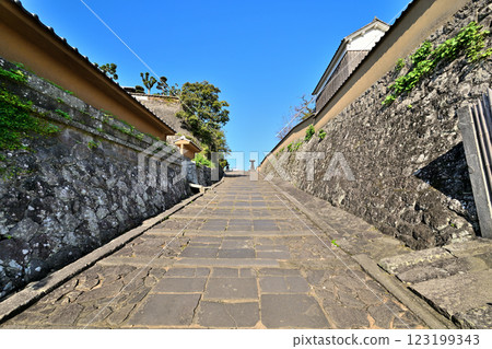 Bungo Kitsuki Castle: Replica castle tower and samurai residence 123199343