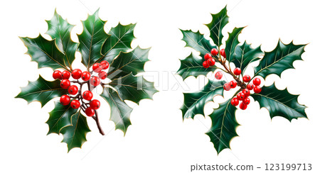 Set of holly branches with red berries isolated on a transparent background. Collection of festive holly leaves and berries, classic Christmas decoration for holiday designs and seasonal projects. Set of holly branches with red berries isolated on a transparent background. Collection of festive holly leaves and berries, classic Christmas decoration for holiday designs and seasonal projects. 123199713