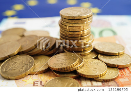 Euro coins on banknotes money and EU flag. 123199795
