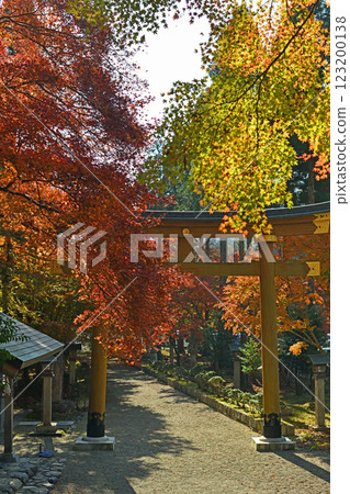 The temple grounds are dyed in autumn leaves 123200138