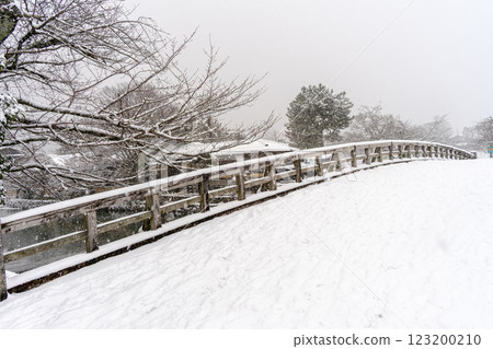 Togetsu Tsukihashi Togetsu Tsukihashi 123200210