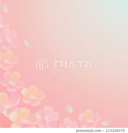 櫻花花瓣落背景 櫻花花瓣落背景 123200375