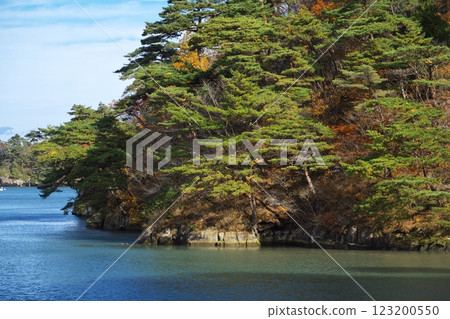 Autumn sky view from Matsugashima fishing port 123200550