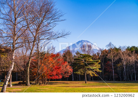[山梨縣] 西湖野鳥森林公園 - 秋葉與富士山 123200962