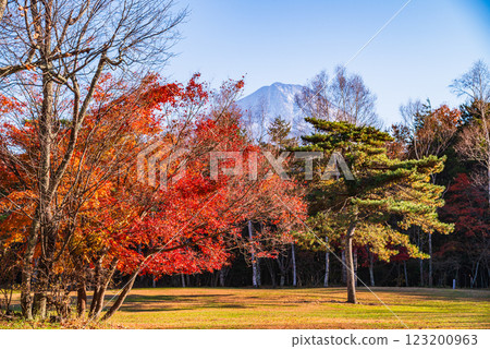 [山梨縣] 西湖野鳥森林公園 - 秋葉與富士山 123200963
