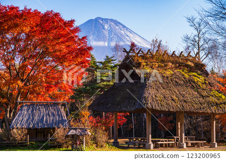 [山梨縣] 西湖野鳥森林公園 - 秋葉與富士山 123200965