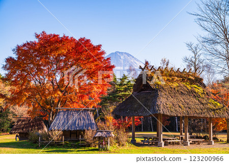 [山梨縣] 西湖野鳥森林公園 - 秋葉與富士山 123200966