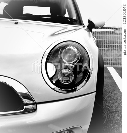 White Mini Cooper headlights 123201048