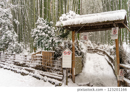 Snow falling, snow covered, bamboo forest in Arashiyama Snow falling, snow covered, bamboo forest in Arashiyama 123201166