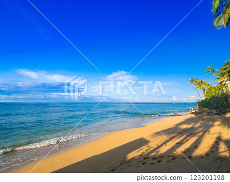 夏威夷早晨威基基海灘 123201198