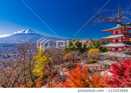[Yamanashi Prefecture] Beautiful autumn foliage at Shinkurayama Sengen Park, Chureito Pagoda and freshly snow-covered Mt. Fuji 123201668