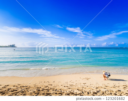 Summer, sea and beach image Hawaii Summer, sea and beach image Hawaii 123201682