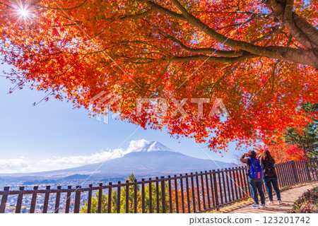 [山梨縣] 從新倉山淺間公園眺望新雪覆蓋的富士山，秋葉綏爛 123201742