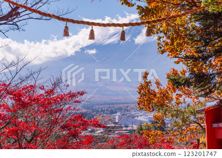 [Yamanashi Prefecture] Freshly snow-covered Mt. Fuji seen from Arakurayama Sengen Park with beautiful autumn foliage 123201747