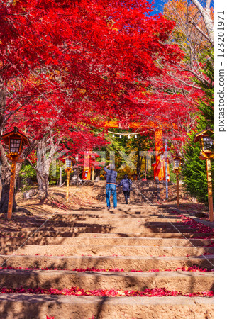 [Yamanashi Prefecture] Beautiful autumn foliage at Arakurayama Sengen Park; the red torii gate on the approach to Sengen Shrine 123201971