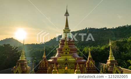 aerial view of the golden gate with intricate golden architecture 123202005