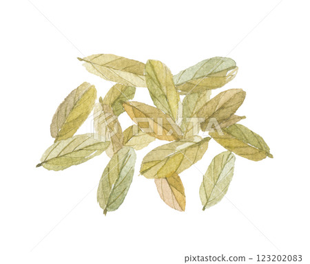 番瀉葉水彩畫 番瀉葉水彩畫 123202083