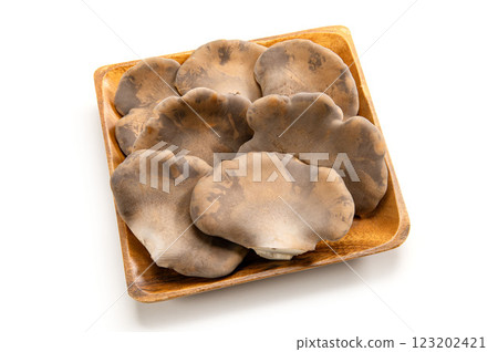 raw black abalone mushroom 123202421