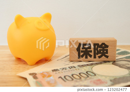 保險圖:存錢罐 保險圖:存錢罐 123202477