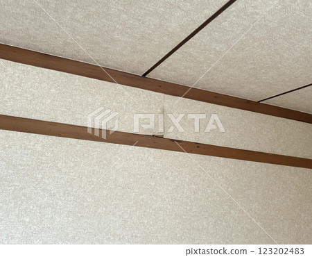 Peeling wallpaper Peeling wallpaper 123202483