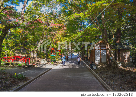 靜岡縣袋井市湯山寺參道的紅葉美景 123202518