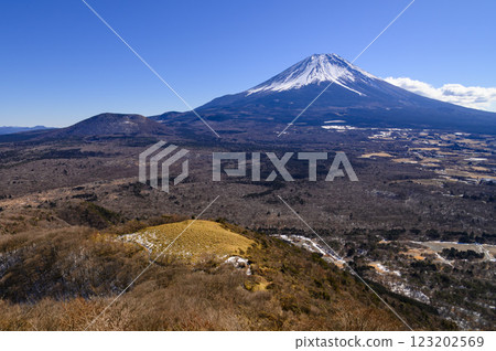 從山梨縣龍岳眺望富士山和廣闊的青木原森林 123202569