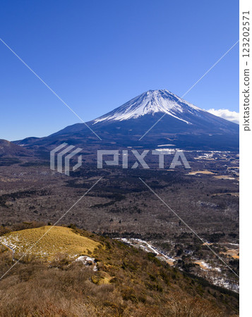 從山梨縣龍岳眺望富士山和廣闊的青木原森林 123202571