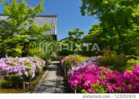 Early summer of the Kyoto Daigakuin 123202819