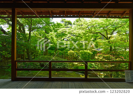 Fresh green of the Kyoto Daigakuin Fresh green of the Kyoto Daigakuin 123202820